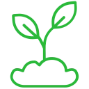 sapling